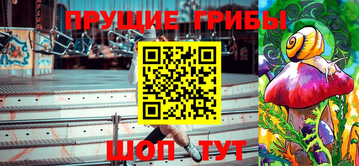 Псилоцибиновые грибы Psilocybine cubensis Светлоград